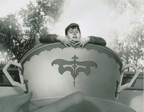 Photo #16